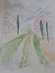 chemin amandierx.jpg